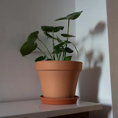 Casa Canela Orgiva Zewnętrze zdjęcie